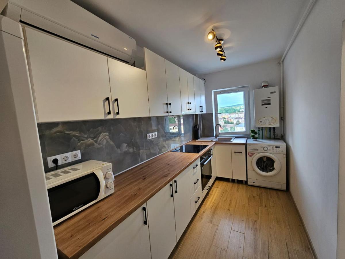 Modern Scala Apartment Zalau
